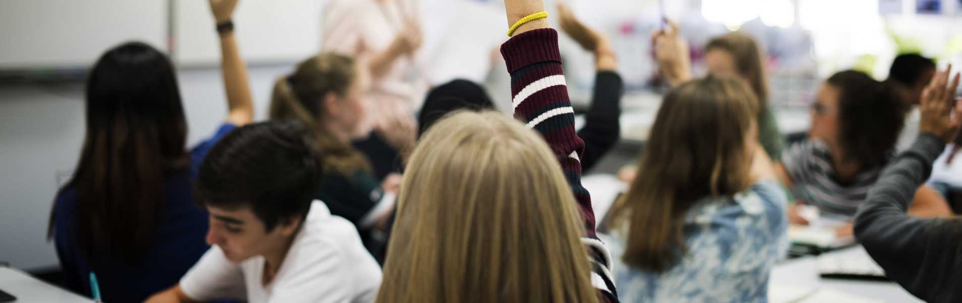 Privatización de la Educación y su impacto en Chile