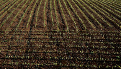 New Draft General Comment on Land and ESC Rights