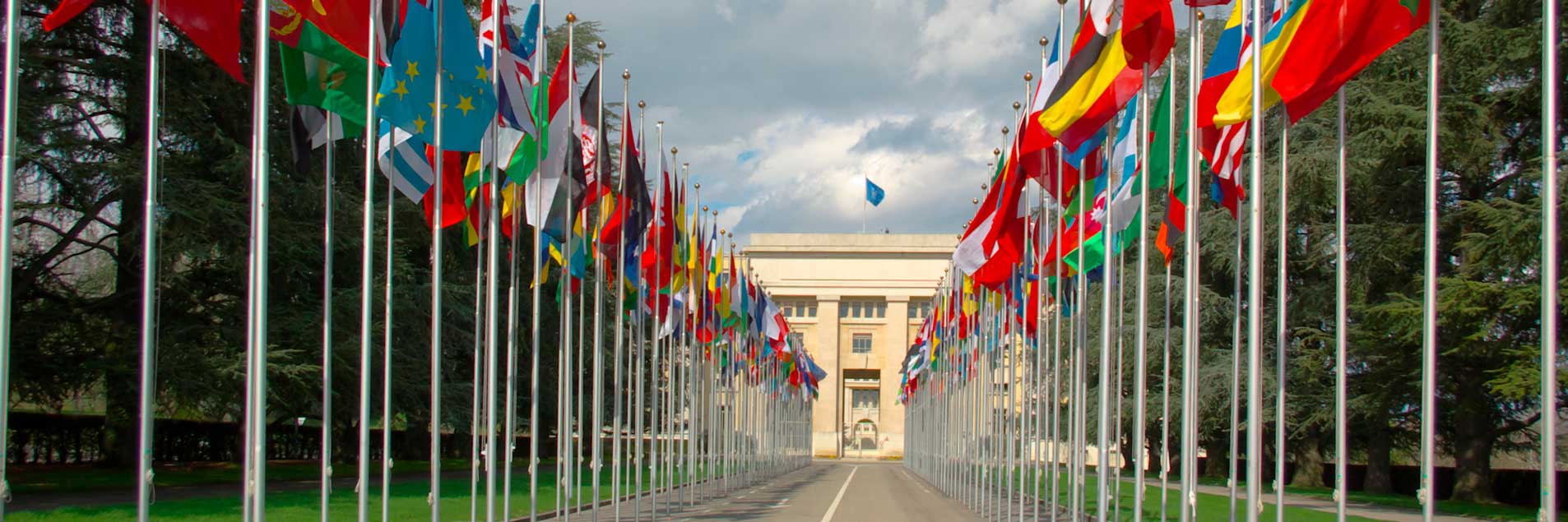 Using CEDAW to Secure Women’s Land and Property Rights: A Practical Guide
