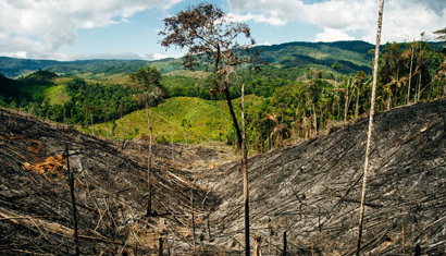 Prevent human rights violations and environmental damage in Kenya
