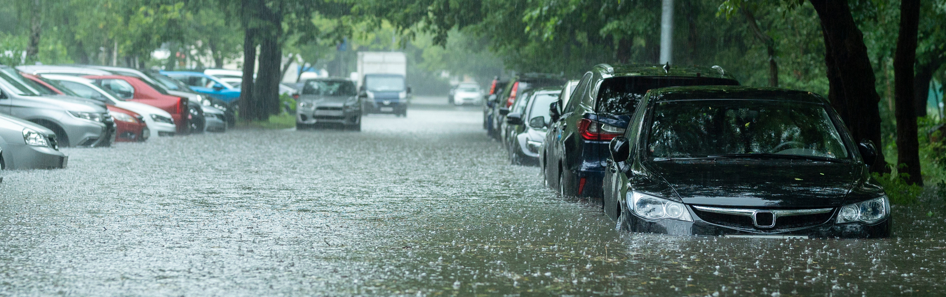 Seguimiento del cumplimiento de los estados con los derechos humanos y obligaciones en el contexto del cambio climático