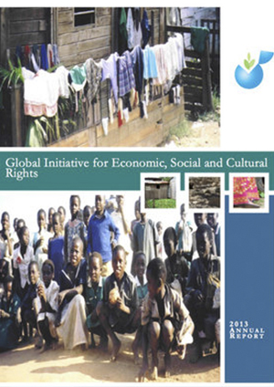 Annual Report 2013