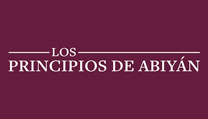 Los Principios de Abiyán: Un marco para garantizar el derecho a la educación pública y regular la participación privada