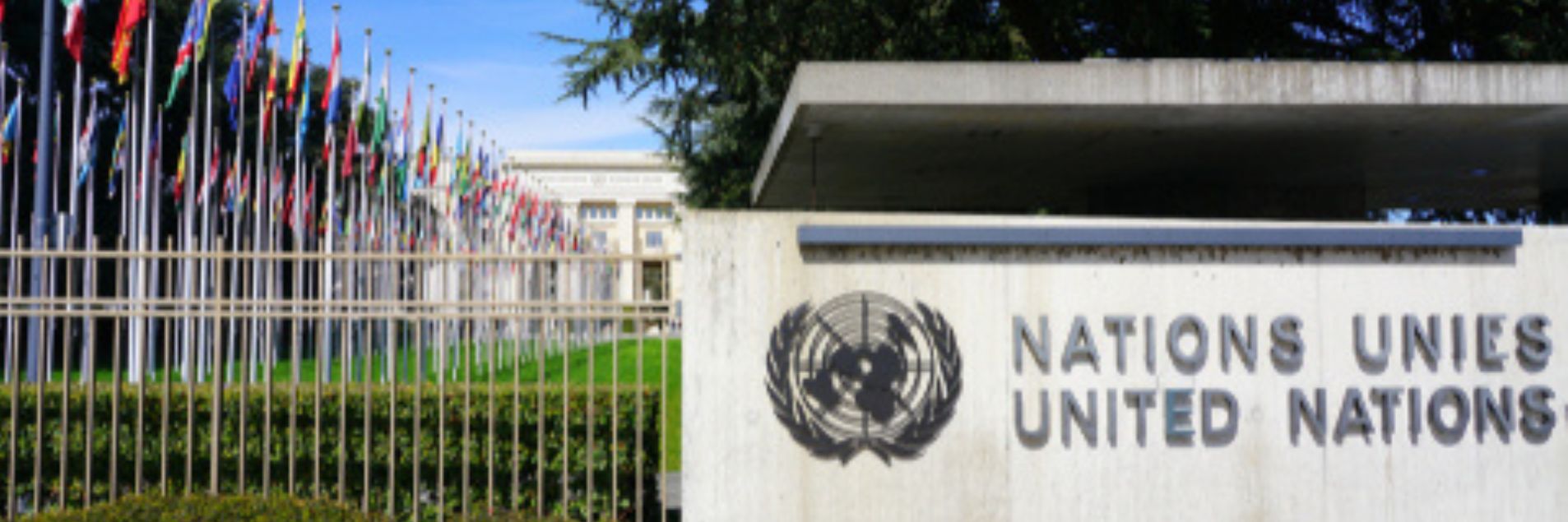 Parallel Report on Chile for the CEDAW Committee on the Gender Implications of Critical Mineral Extraction